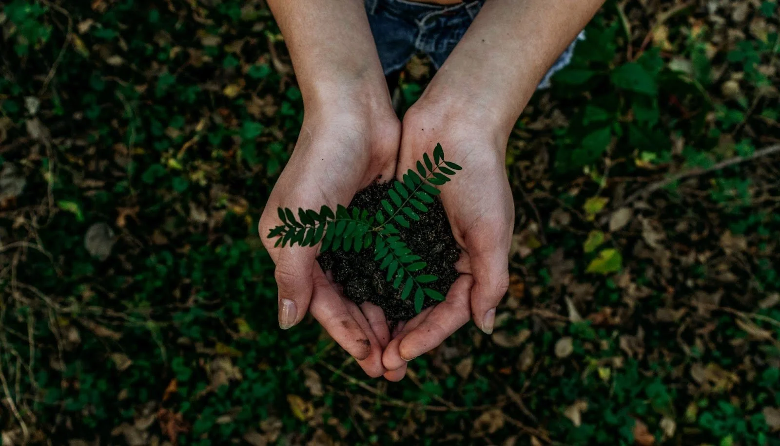 What is Sustainable Web Design?